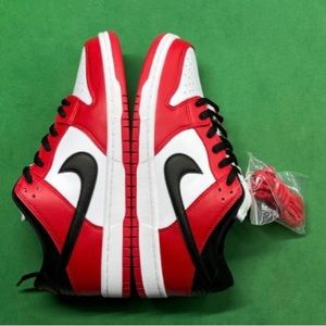 Nike Chicago dunks sb